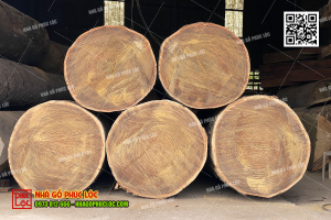 Gỗ tự nhiên có đường vân đẹp, đa dạng