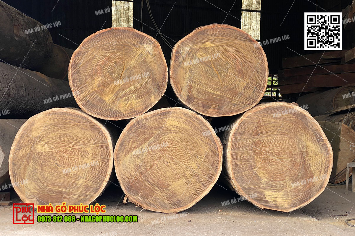 Gỗ tự nhiên có đường vân đẹp, đa dạng
